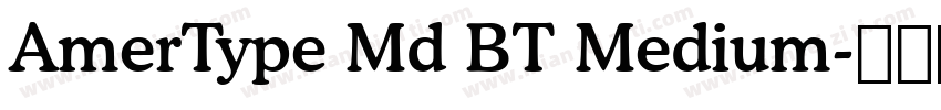 AmerType Md BT Medium字体转换